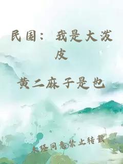 民国：我是大泼皮
