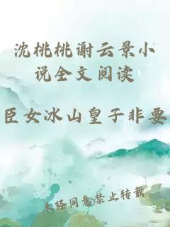 沈桃桃谢云景小说全文阅读