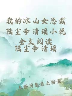 我的冰山女总裁陆尘李清瑶小说全文阅读